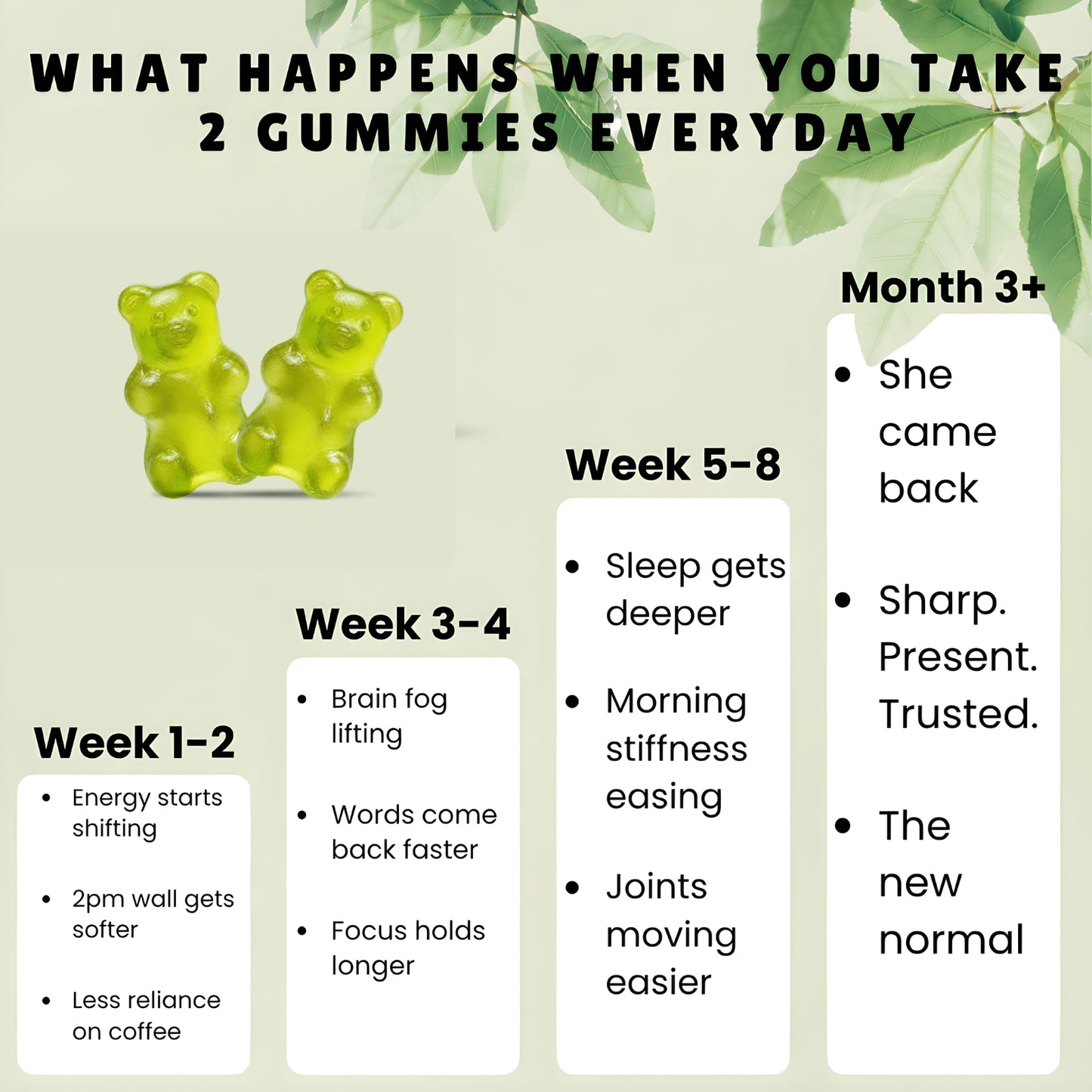 Bloomvita Moringa Gummies