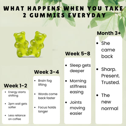 Bloomvita Moringa Gummies